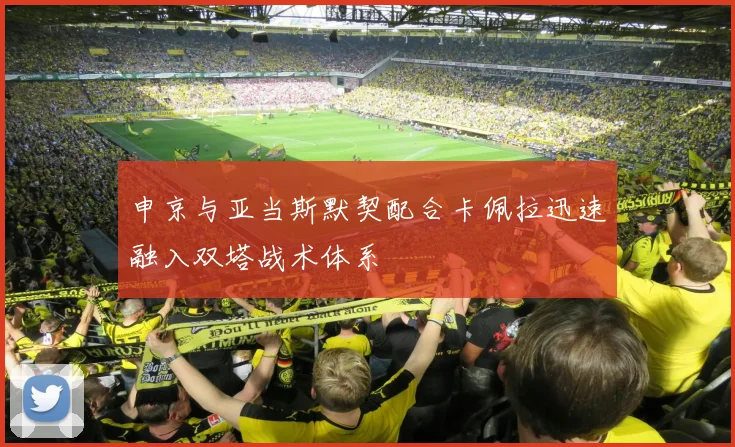 申京与亚当斯默契配合卡佩拉迅速融入双塔战术体系
