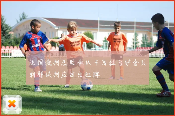 法国裁判总监承认卡马拉飞铲舍瓦利耶误判应该出红牌